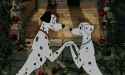 perdita and pongo kiss.gif