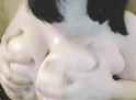 1425887574959.gif