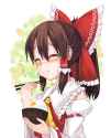 __hakurei_reimu_touhou_drawn_by_yes_warabi__9ab2331235eb5ae9eb18fad13895f37f.jpg