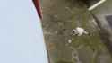 WARNING GORE killing a cat.gif