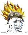 Tfw nobodyknow what nam saiyan.png