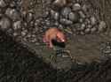 Fo2_The_Brain.png
