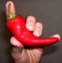 Red Pepper.jpg
