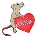 loverat.jpg