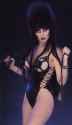 elvira.jpg