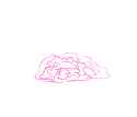 pinis.png