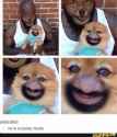 ipad bilder 022.jpg