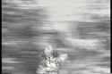 1349172771087.gif