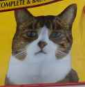 cheap cat food.jpg