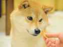 tumblr_mmqx8cw7G41rkn5ozo2_400.jpg