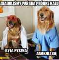 próbka.jpg