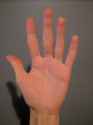 hand.png