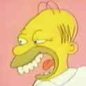 homerspray.jpg