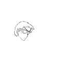 Soren.png