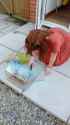 IMG-20160509-WA0006.jpg