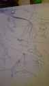 IMG-20160113-WA0007.jpg