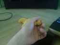 DSC00063.jpg