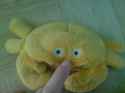 DSC00062.jpg