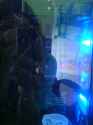 DSC00064.jpg