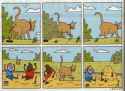 cat buries.jpg