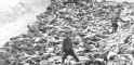 Ss_officer_fritz_klein_bergen_belsen_concentration_camp_1945.jpg