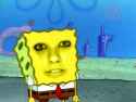 Spongeboxxy.png
