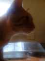 IMG_20161014_180711.jpg