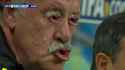 Vicente Del Bosque.jpg