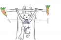 bunnylift.png