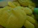 DSC00063.jpg