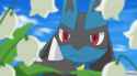 1419360028029.gif