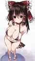 __hakurei_reimu_and_kanna_cookie_touhou_and_touhou_drawn_by_benjamin_button_suukina_jinsei__sample-4062f5bf947adb67cb640b899f4fa7f8.jpg