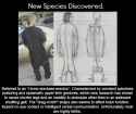 New Species.jpg