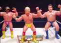 wrestling-superstar-ljn.jpg