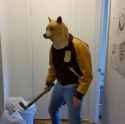 tumblr_nz03qlG7Z01uhqudpo1_500.jpg
