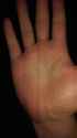 IMAG0356.jpg