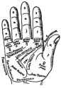 palmhand.jpg