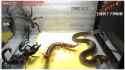 Snakebro.jpg