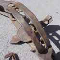 830243-bear_trap_teeth_11.jpg
