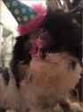 received_1778388312424095.jpg