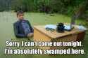 swamped.jpg