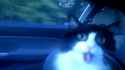 1397914723888.gif