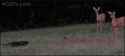 1410631130095.gif