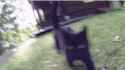 1405651916006.gif