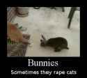 bunny rape.gif