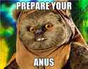 prepare your anus.jpg