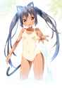 12e6cc7974fec17b99a18cadd456c7ed.png