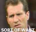 Al Bundy Sort of Want.jpg