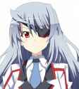 Infinite-Stratos-Cosplay-Laura-Bodewig-Cosplay-Wig-Version-01_img.jpg