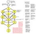 TreeOfLife.png